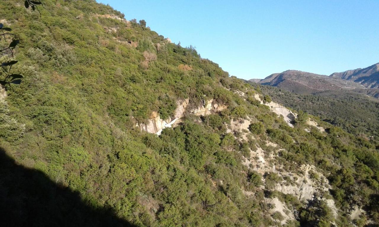 Logis Hotel Beausejour Berre-des-Alpes Exterior foto